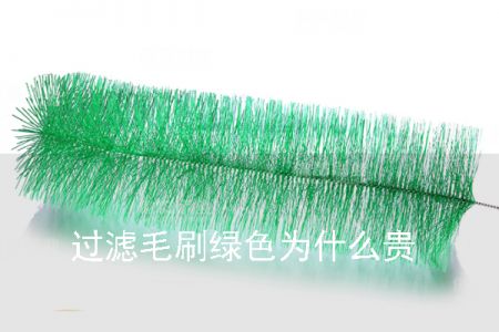 過(guò)濾毛刷綠色為什么貴 過(guò)濾毛刷綠色為什么貴