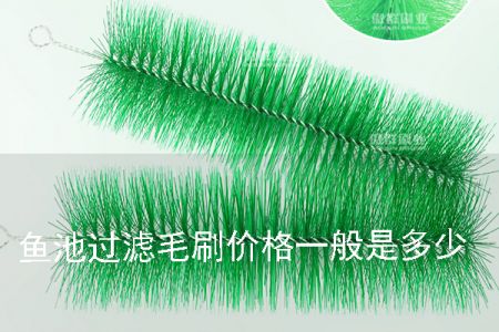 魚池過(guò)濾毛刷的價(jià)格一般是多少 魚池過(guò)濾毛刷的價(jià)格一般是多少