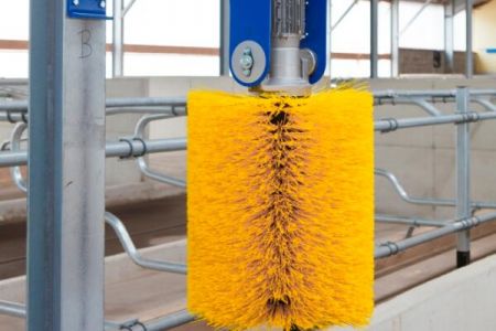 選傲群牛體刷廠家定制,為奶牛健康與養殖效益雙重賦能 選傲群牛體刷廠家定制,為奶牛健康與養殖效益雙重賦能